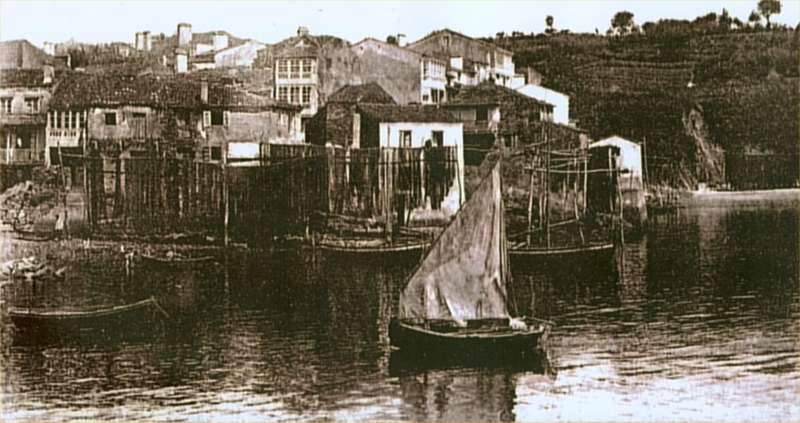 Coas cabrias ao fondo